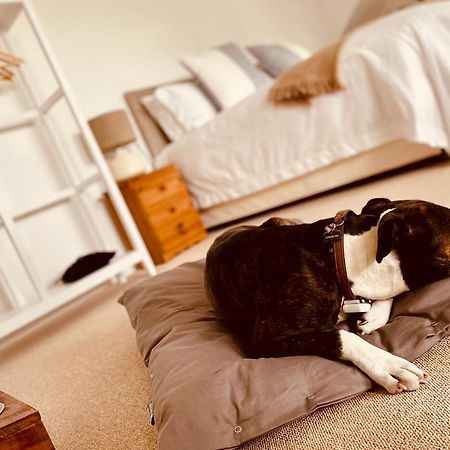 The Ventnor Annex Bed & Breakfast エクステリア 写真
