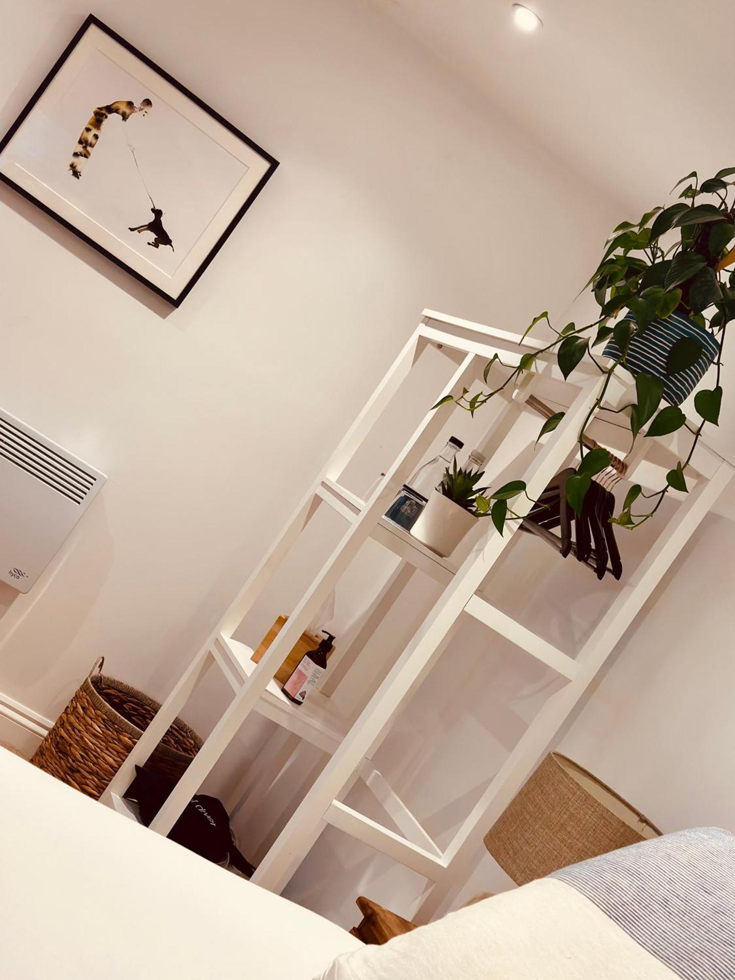 The Ventnor Annex Bed & Breakfast エクステリア 写真
